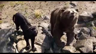 The Monkeys Kidnap Mowgli