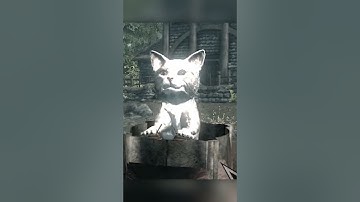 Skyrim mods in a nutshell