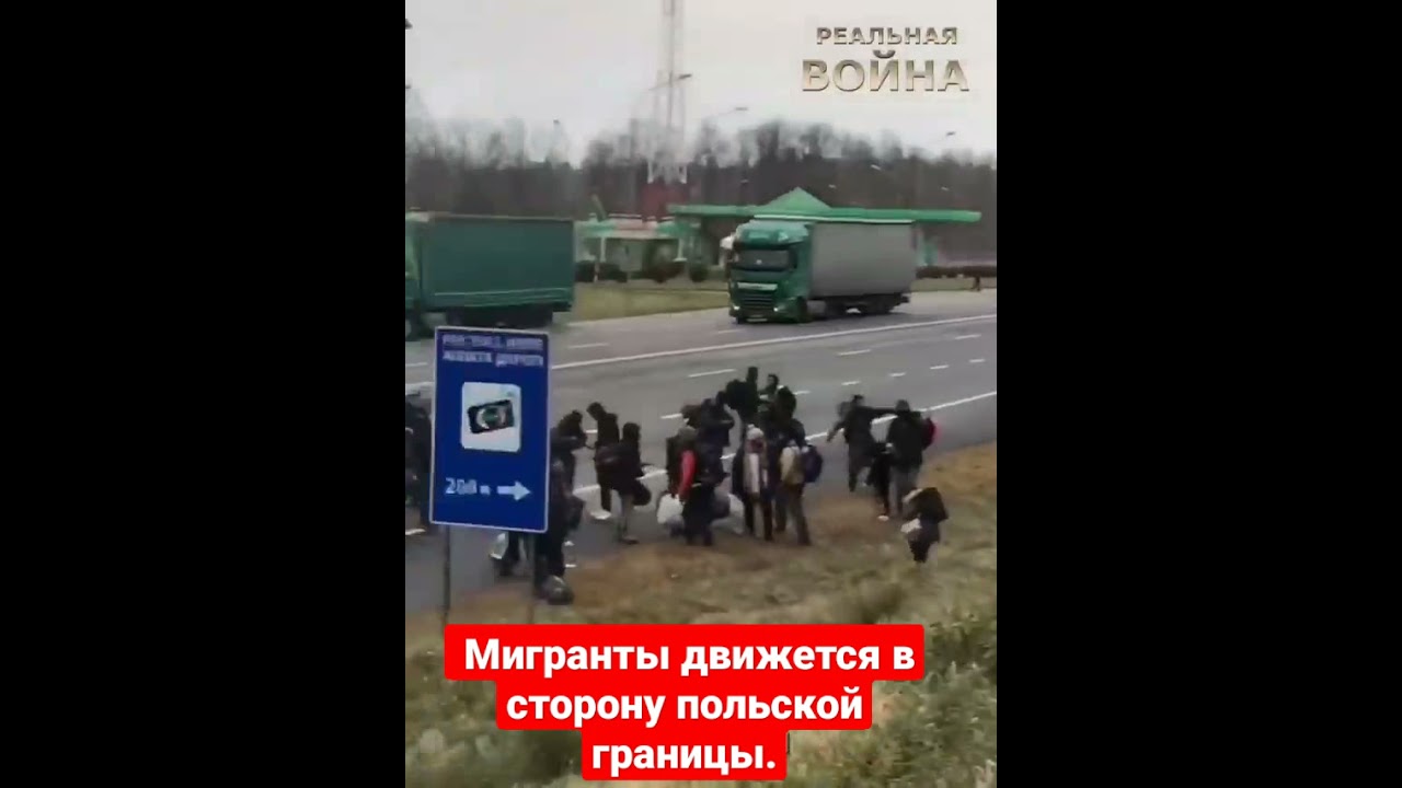 Организованная колонна автомобилей Организованная колонна автомобилей