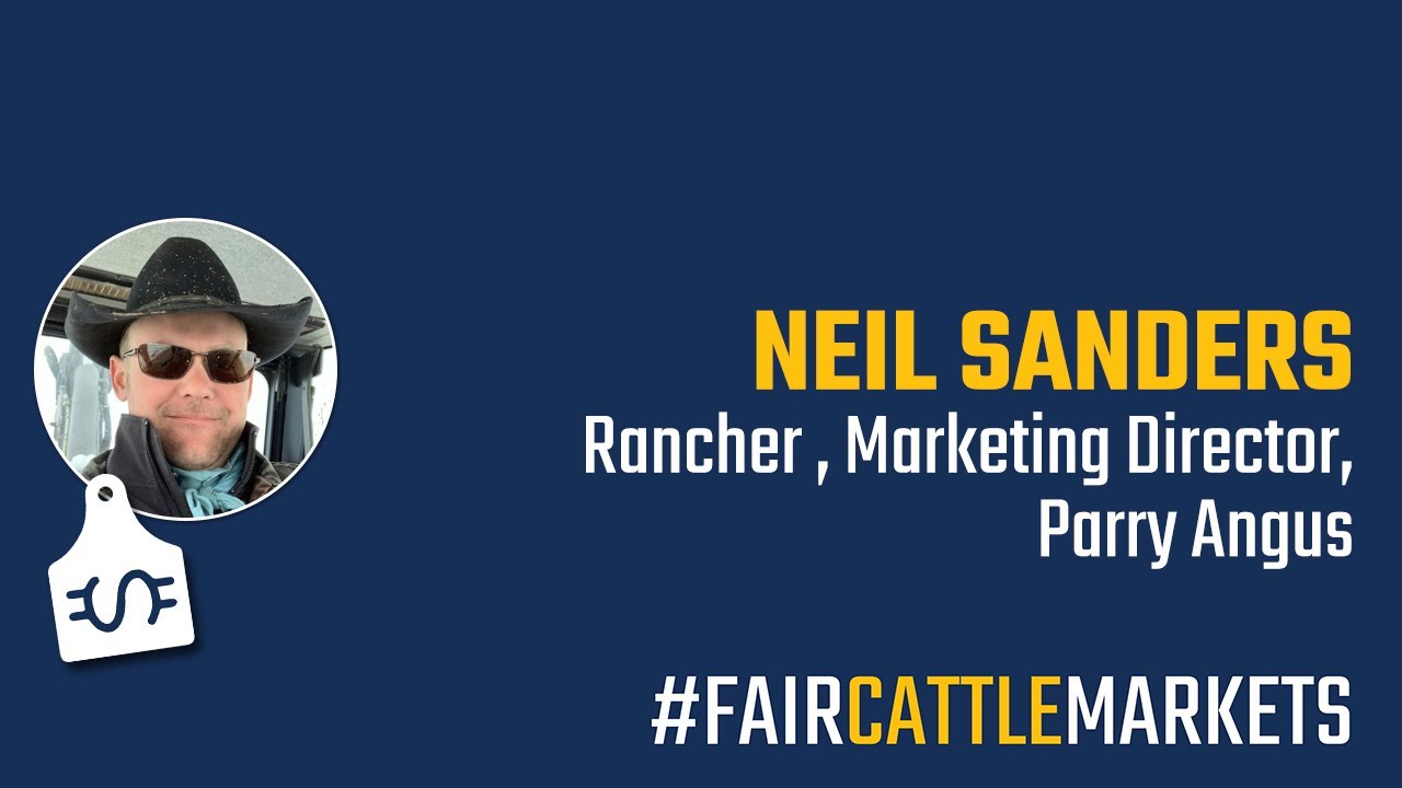 Fair Cattle Markets Interview with Neil Sanders YouTube