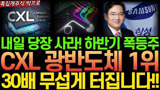 [주식] 내일 당장 사라! 하반기 대장주 될 삼성 CXL 광반도체 세계1위 '이 기업' 30배 무섭게 성장한다! #삼성전자 #유리기판 #광통신 #실리콘포토닉스 #cpo #cxl