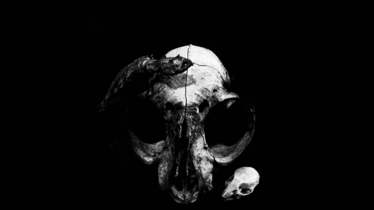 Endform - Winter Shawl