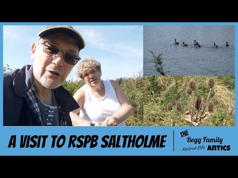 A Visit to RSPB Saltholme