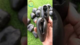 Shaligram, different types of shaligram shila ?? shorts short shortsfeed