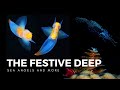 Oceanic Wonders and Phenomena