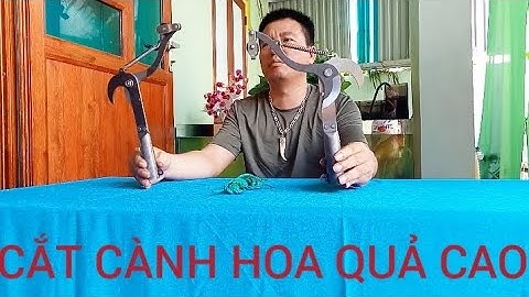 ĐẦU KÉO CẮT TỈA CÀNH CÂY HÁI HOA QUẢ TRÊN CAO THUẬN TIỆN CHO MỌI NHÀ MẪU NHƯ VIDEO 