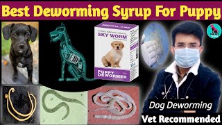 Best Puppy Dewormer Medicine 💊 || Deworming Of Puppy || 100 % Successful Deworming कैसे करें जाने 🤔?