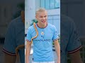 Dogs vs. Cats | Which Pet Will Win? #football #haaland #messi #ronaldo