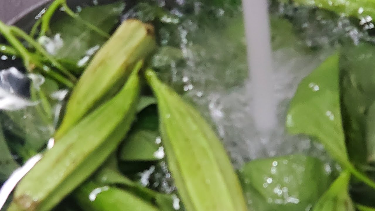 ILOCANO IN CALIFORNIA | BATANG ELYU I BUHAY AMERIKA