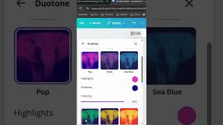 How to Create Stunning T shirt Design with Grids in Canva