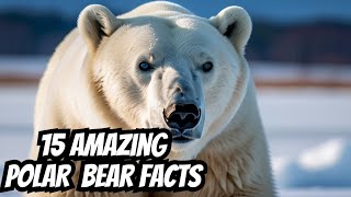 15 AMAZING Facts About Polar Bears