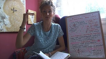 Quantum cognition & multidimensional brain waves FREE course