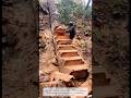 The Moment a Fallen Tree Becomes a Staircase #craftsman #craft