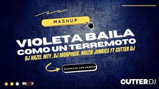 VIOLETA baila como un TERREMOTO (Guaracha Con Perreo) - CUTTER DJ (Mashup)