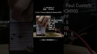 70年代のオクターブファズを現代的に再構築 Animals Pedal In Oct, 3