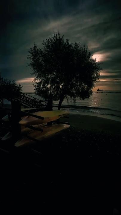 OKINXWX-Violin Night