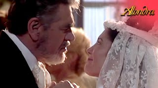 Carmelina and Baldomero celebrate their wedding | Alondra 1/2 | C-47 | tlnovelas