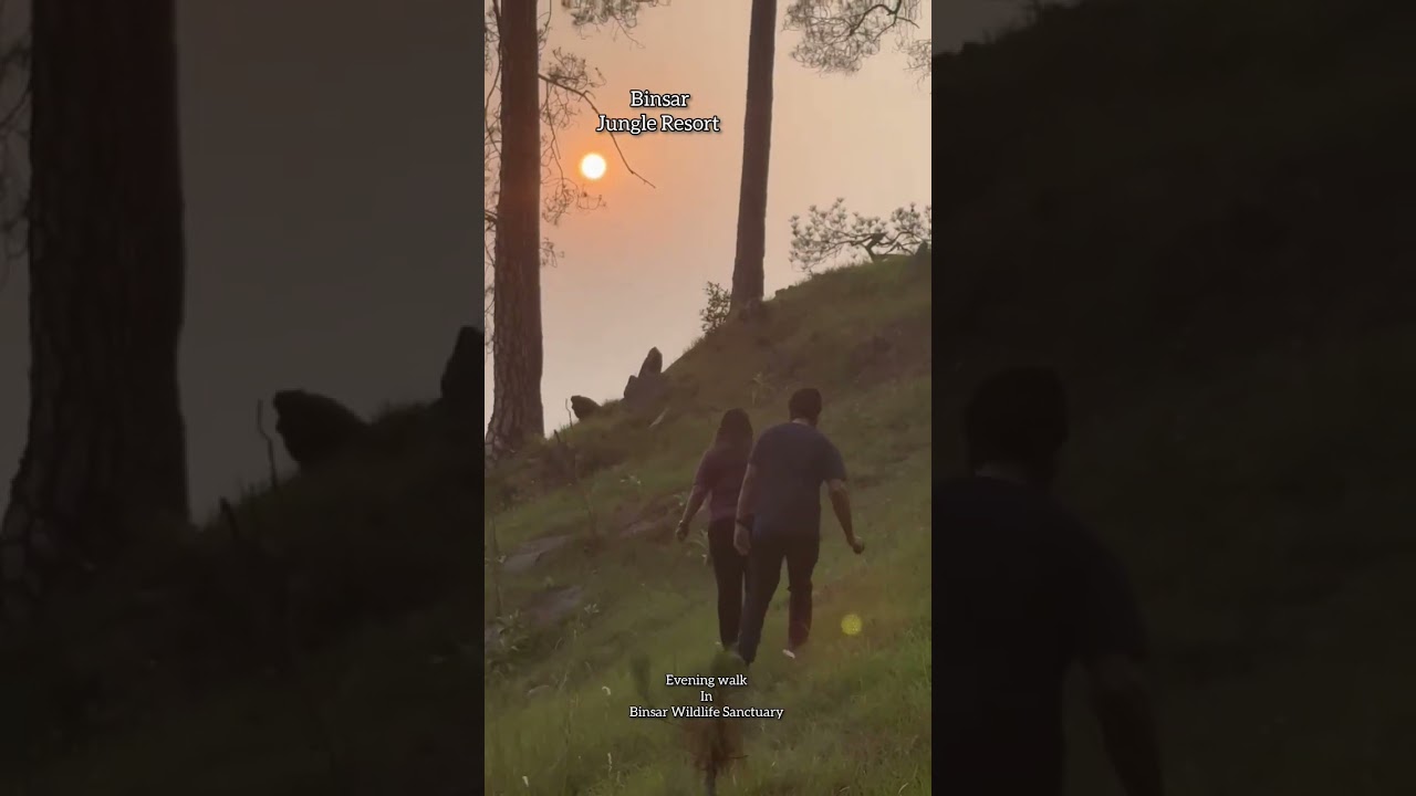 We welcome you to The Himalayan Heaven Homestay in Binsar Wildlife Sanctuary. Stay in binsar .