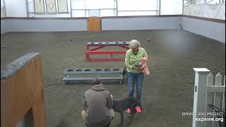 Arena Brekkies Blues Elwood Sister Piper Then Jake Jami Chrise 5102024 Explore.org