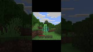 pov: best enchantment of Minecraft