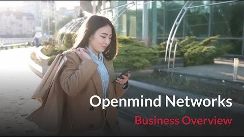 Openmind Networks: Business Overview