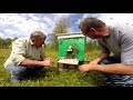 Пчелы в Тукане... Пасека Потапова С Н