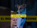 🐶 ARTURO ENTRÓ A LA CASA! #granhermano #gh2023 #gh #granhermanoargentina #granhermano2023 #viral