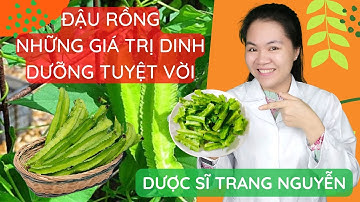 Quả đậu rồng những công dụng dược lý tốt cho sức khỏe