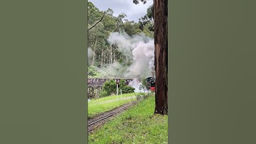 Garratt NGG16/129 stomps across the trestle bridge #steamengine