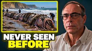 Something 40 Feet Long Washed Ashore in California — No One Can Explain It