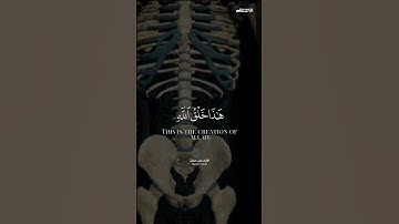  هَذَا خَلْقُ اللَّهِ #تلاوة بخشوع لايوصف 😥 #القارئ_مازن_حنيش#سورة_لقمان