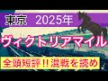 【ヴィクトリアマイル2025】蓮の競馬予想(全頭短評)〜NHKマイルはチェルビアット大穴推奨