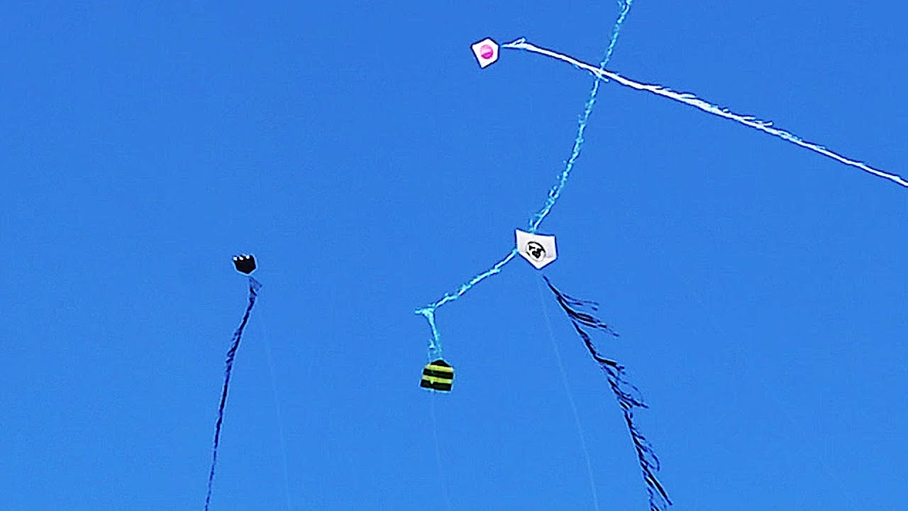 PIPAS DE RABIOLA BRANCA NO CÉU AZUL ANIVERSARIO PIPEIROS DA QUADRINHA ...