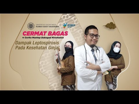 Video: Mengapa ujian leptospira dilakukan?