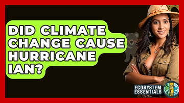 Did Climate Change Cause Hurricane Ian? - Ecosystem Essentials