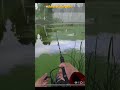 Щука промахнулась и решила на последок подмигнуть | #rf4 #carpfishing #games #рыбалка #fishing #carp