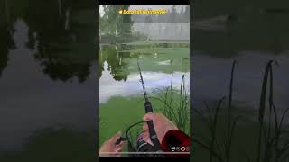 Щука промахнулась и решила на последок подмигнуть | #rf4 #carpfishing #games #рыбалка #fishing #carp