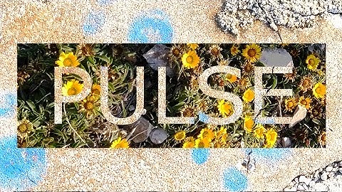 Pulse