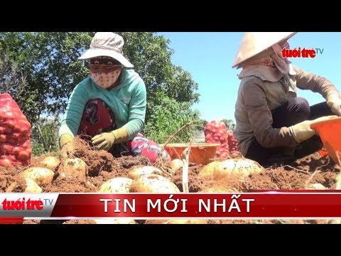 Video ⚡ Phóng sự | Đà Lạt chống 