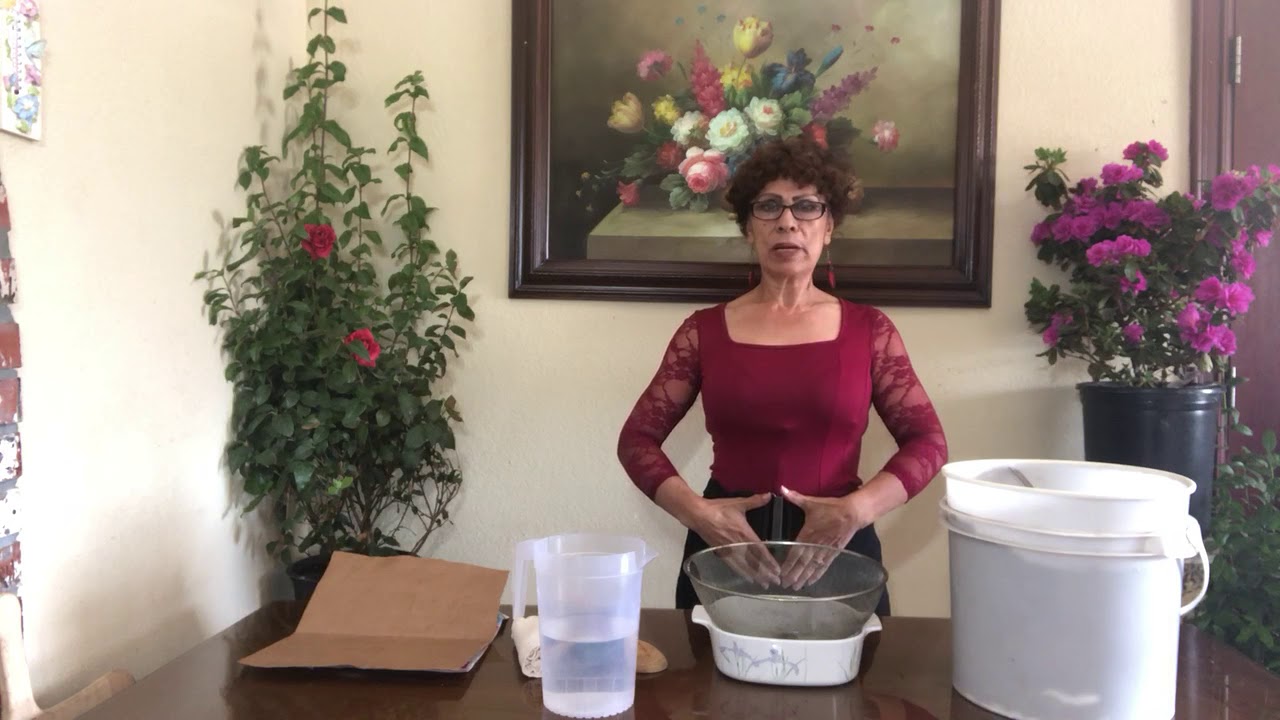 pina bausch !!!COMO EVITE QUE ME SACARAN MI MATRIS!!!( histerectomía abdominal )