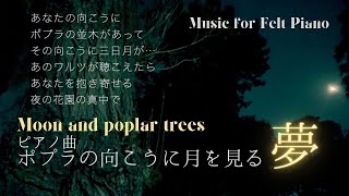 ポプラの向こうに月を見る夢／保坂修平 Moon and poplar trees - Shuhei Hosaka From Euphoria/Eight Fantasies