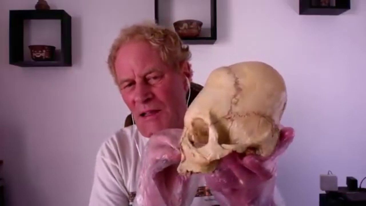 Upcoming Paracas Elongated Skull DNA Testing