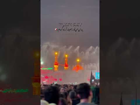 تو این اوضاع تنها نگرانی من اینه که نکنه دیگه تورو نتونم ببینم عشق کربلا دلتنگی امام حسین