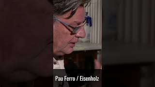 Pau Ferro / Eisenholz - Eine Profi-Gitarre vom Guitar Doc #shorts #guitar #building #diy