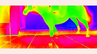 Leikitään Helistimellä No Scam Epilepsia Kohtaus