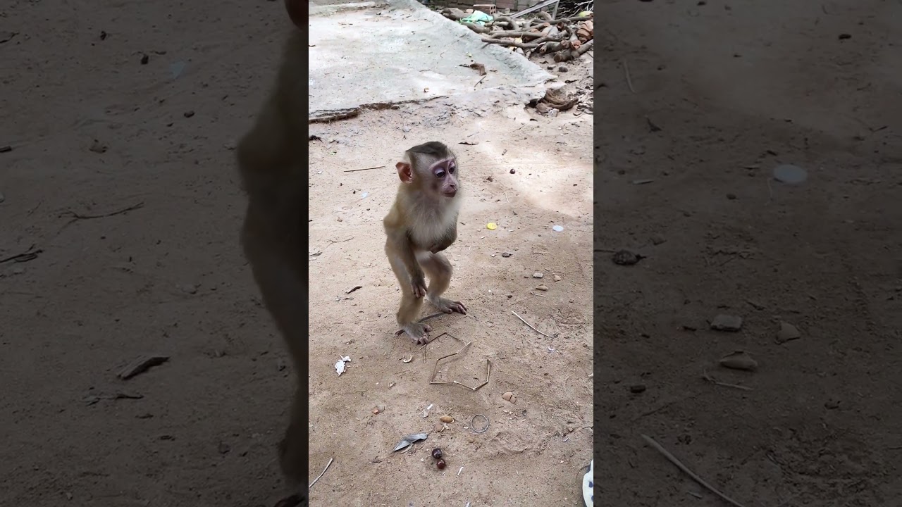 Standing waiting friends 