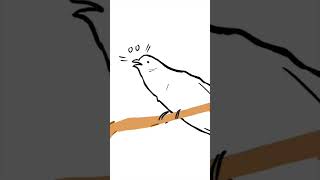Sound Of Cuckoo shorts birds illustration