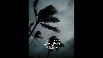 #سورة_الفجر .                              القارئ/ شريف مصطفى