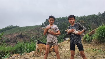 Trải nghiệm bắt cá trắm cỏ trên núi || Farm life VN