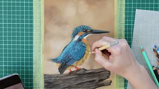 Kingfisher drawing with soft pastels - timelapse screenshot 5